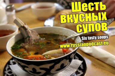 Tasty soups Russia