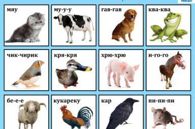 animal sounds Russian