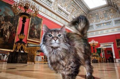 Hermitage Cats